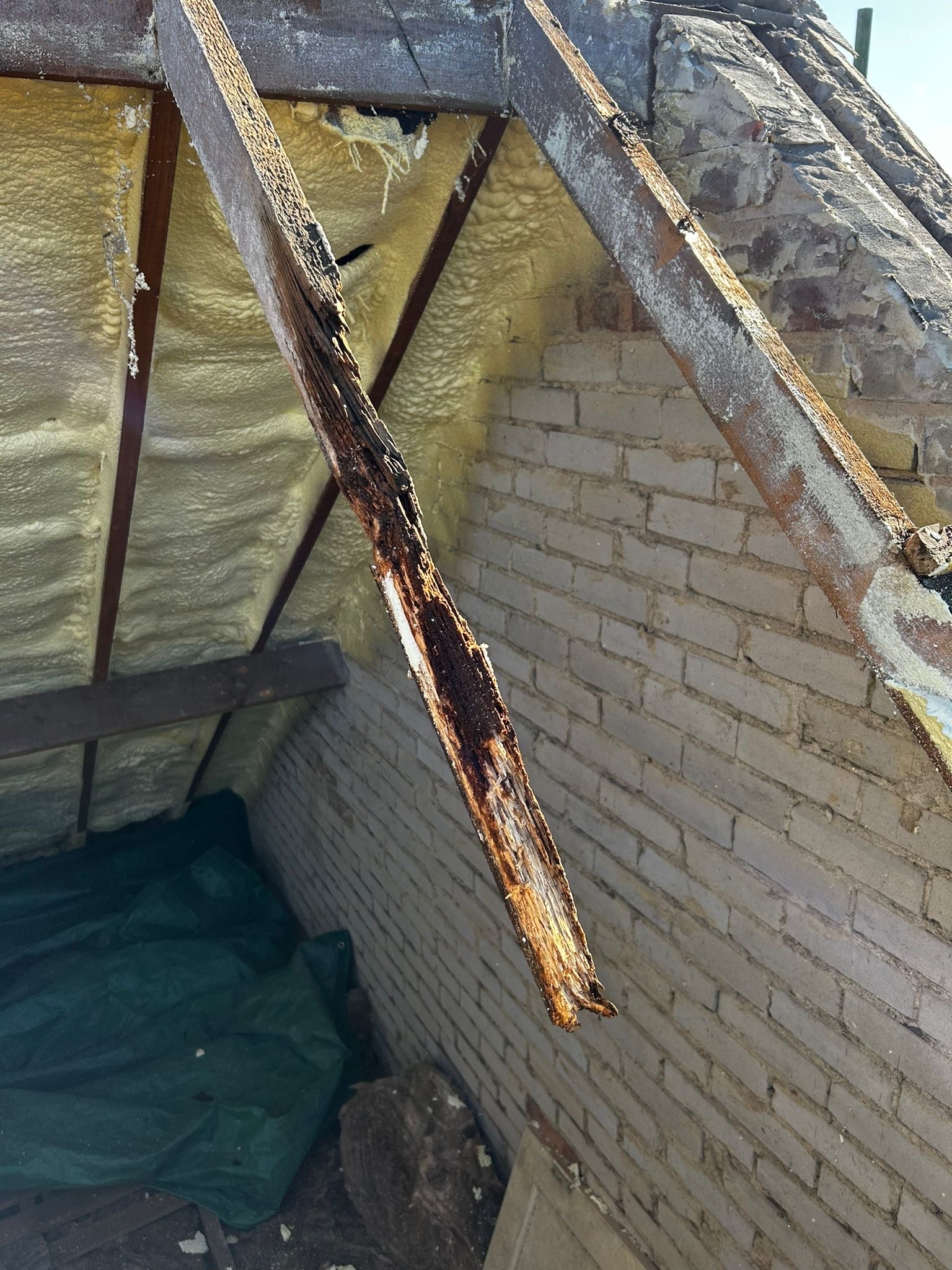 Loft inspection showing spray foam on roof timbers