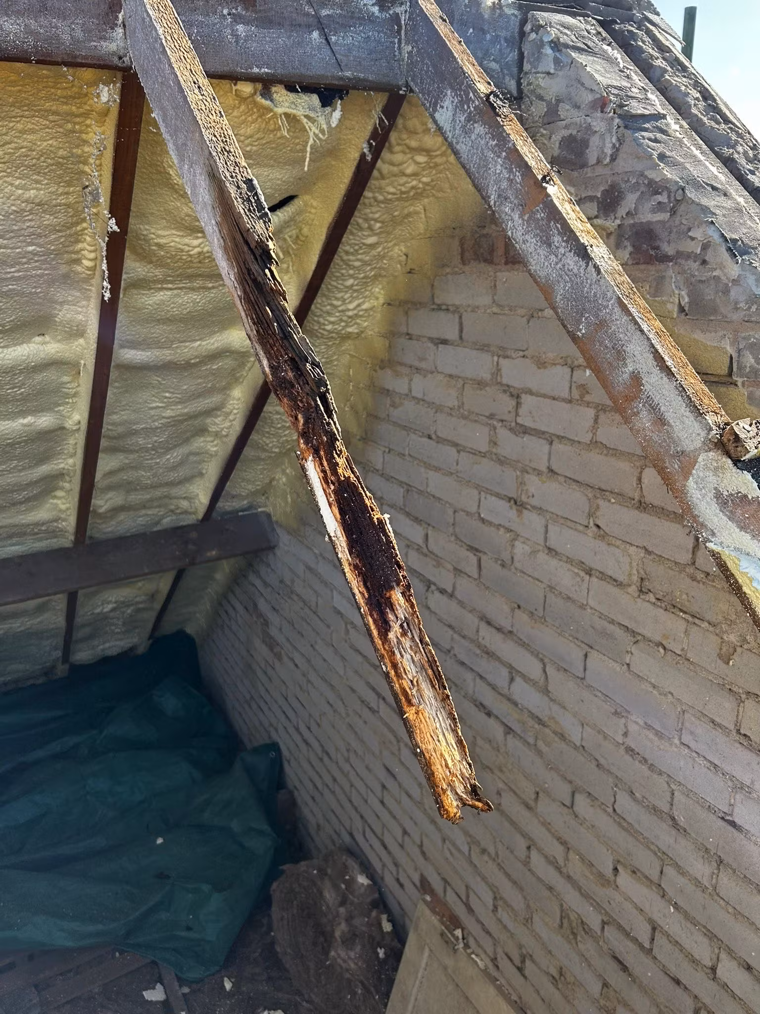 Loft inspection showing spray foam on roof timbers